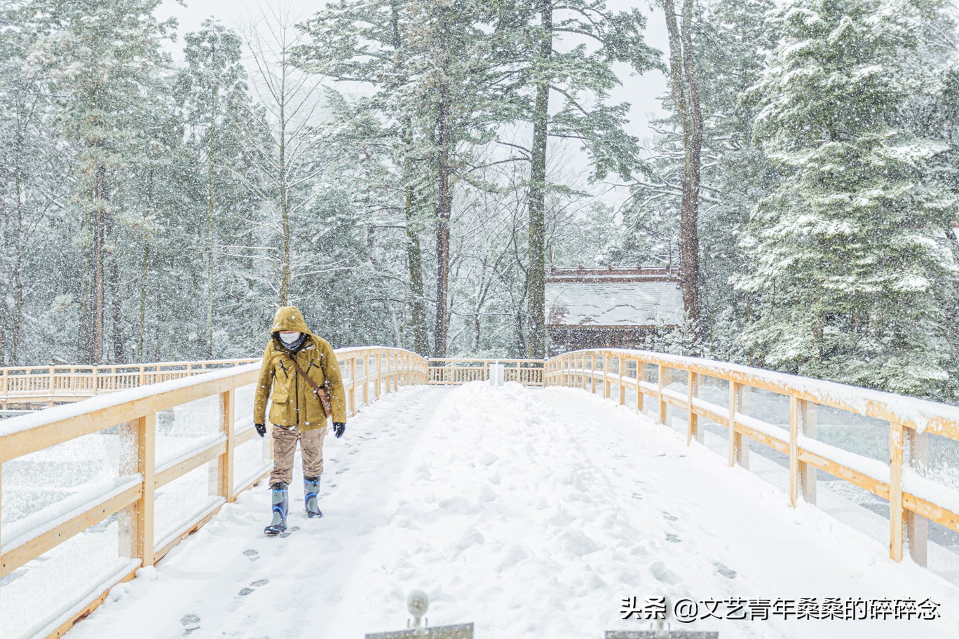 冬季日本的自驾游攻略,冬日游日本名古屋攻略