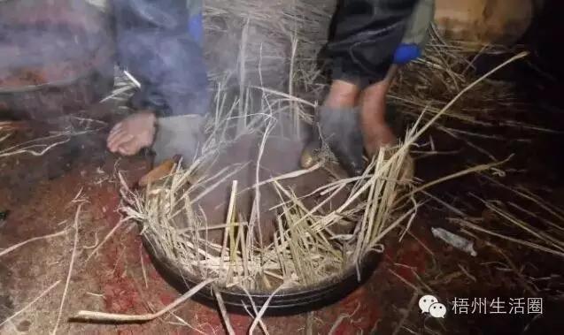 茶油粘锅,茶油炸锅巴
