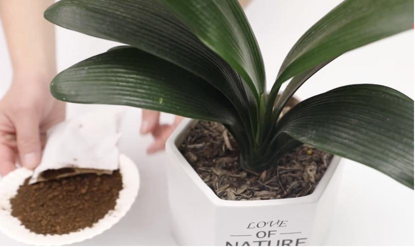 暖宝宝不暖了别扔掉可以做假水吗,暖宝宝放太久了不怎么热怎么办