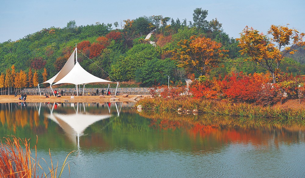 河南濮阳华龙区旅游攻略,河南省濮阳市华龙区游玩景点