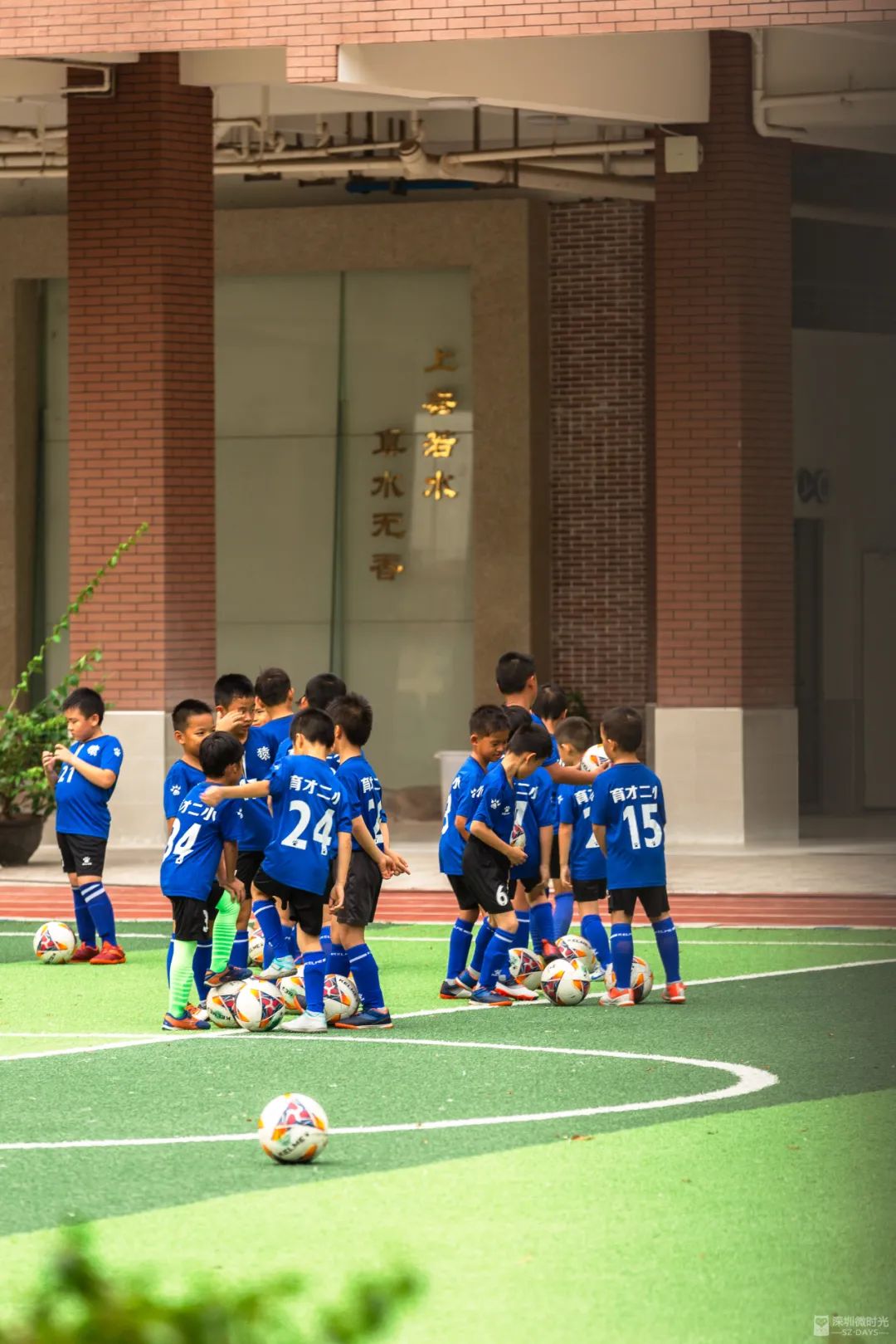 蛇口，一个住下来就不愿意再搬走的地方