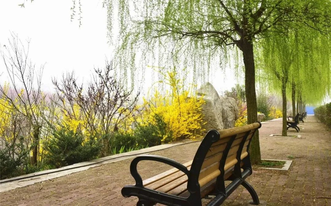 青岛黄海学院官网招生章程,青岛黄海学院2023招生简章章程