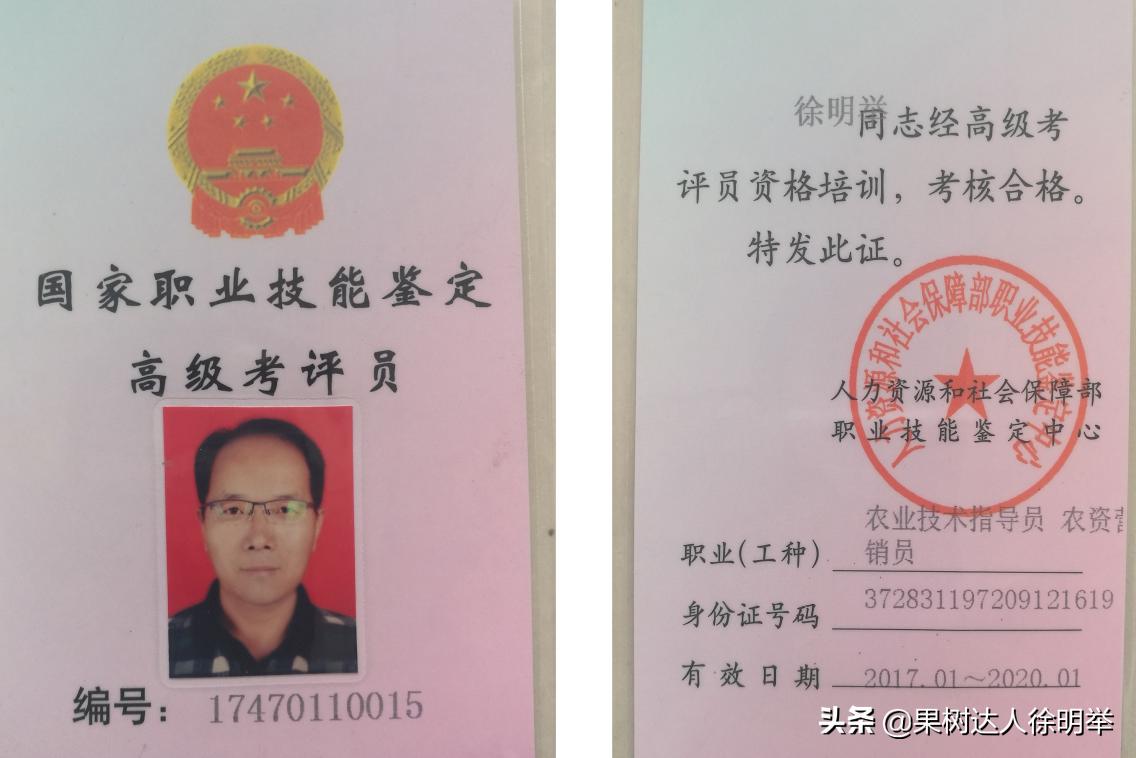 你对园艺专业的看法,你对园艺技术有什么了解