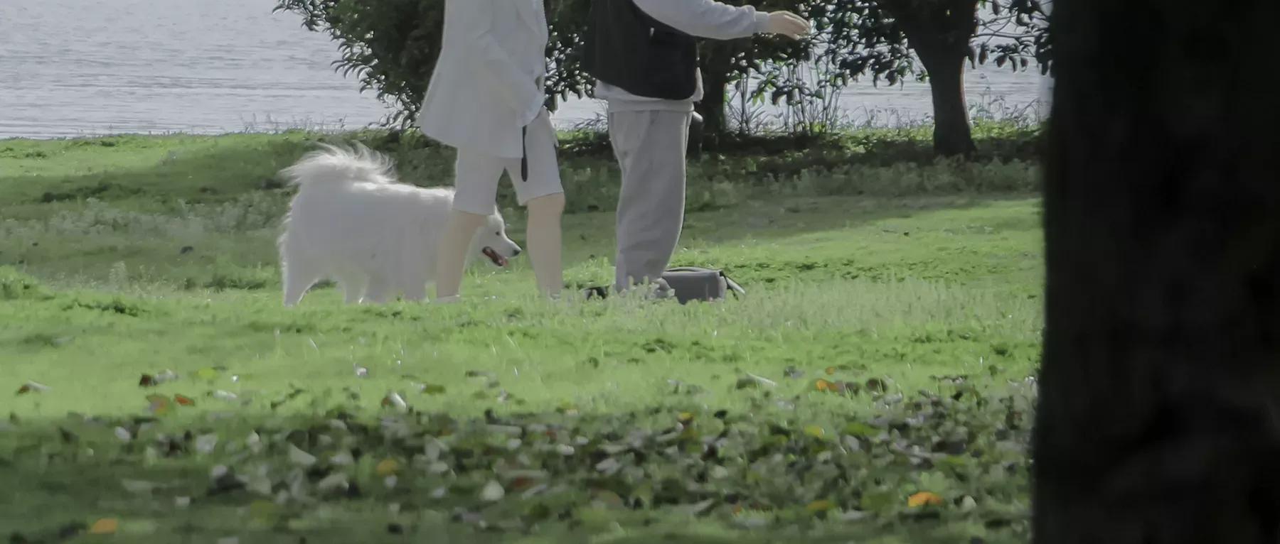 但愿余生遇到良人的文案,愿你遇见的都是良人情感文案