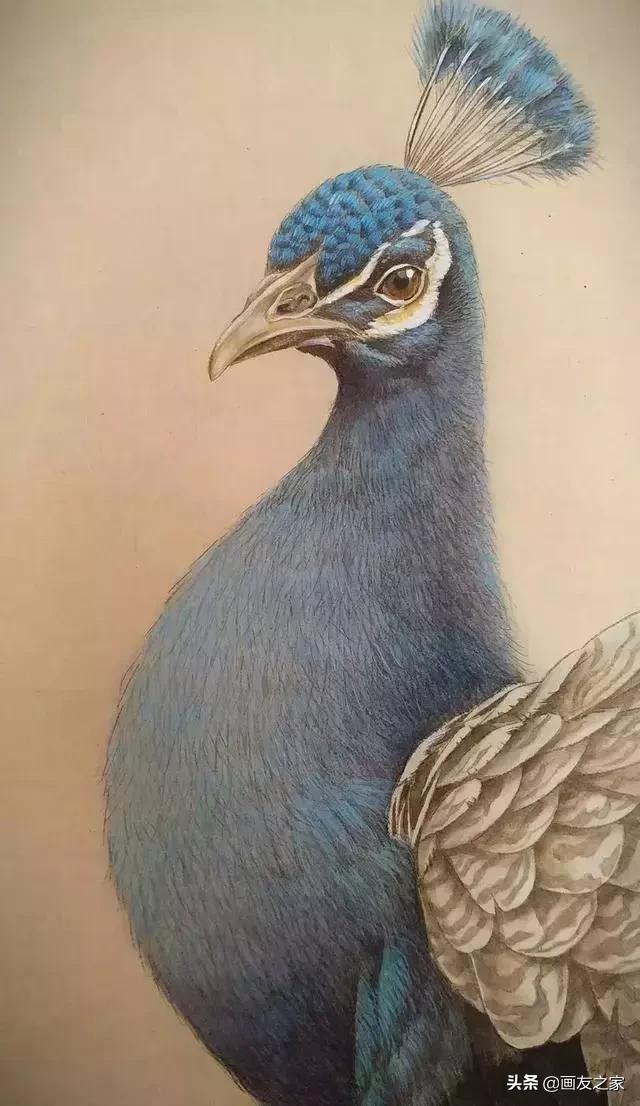 陈松岩工笔白描画全集,陈松岩工笔国画