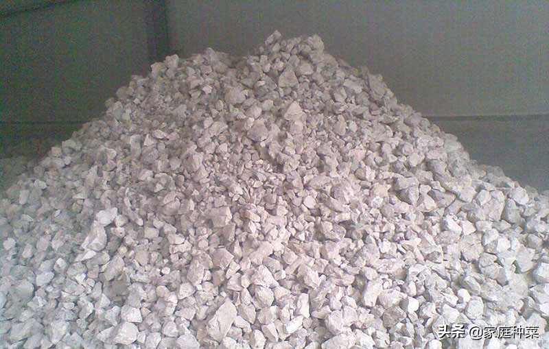 堆肥有虫怎么处理,堆肥长虫了还能用吗