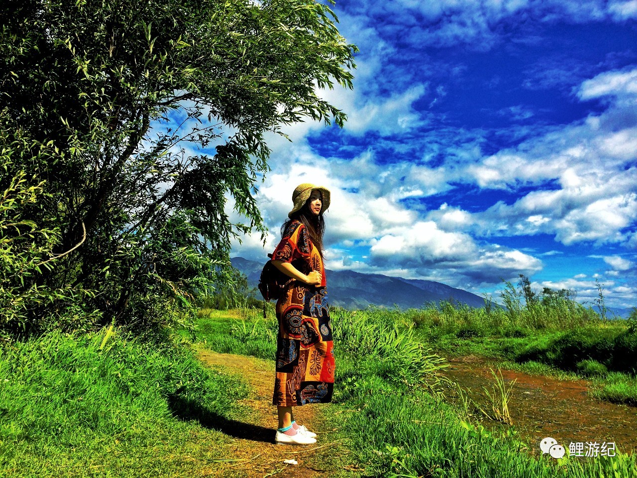 环海公路好看的图片,西南风景图片横图