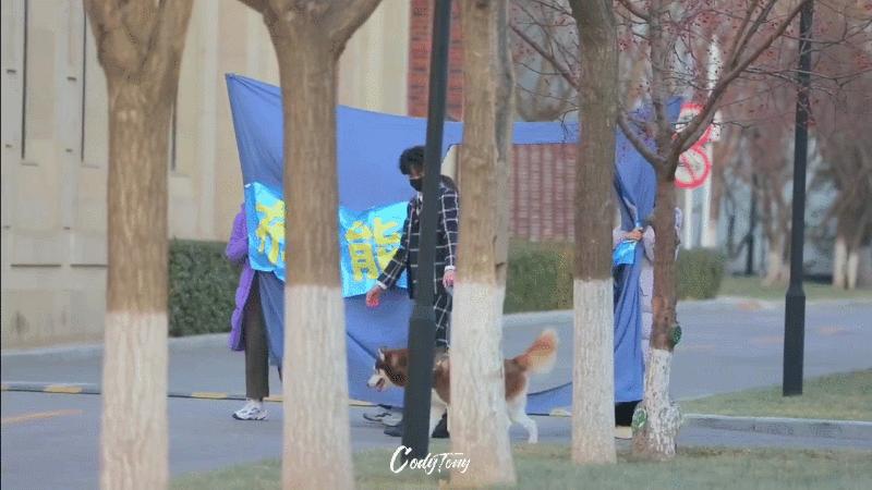 青3最新选手名单,肖战王一博丁禹兮三人头像