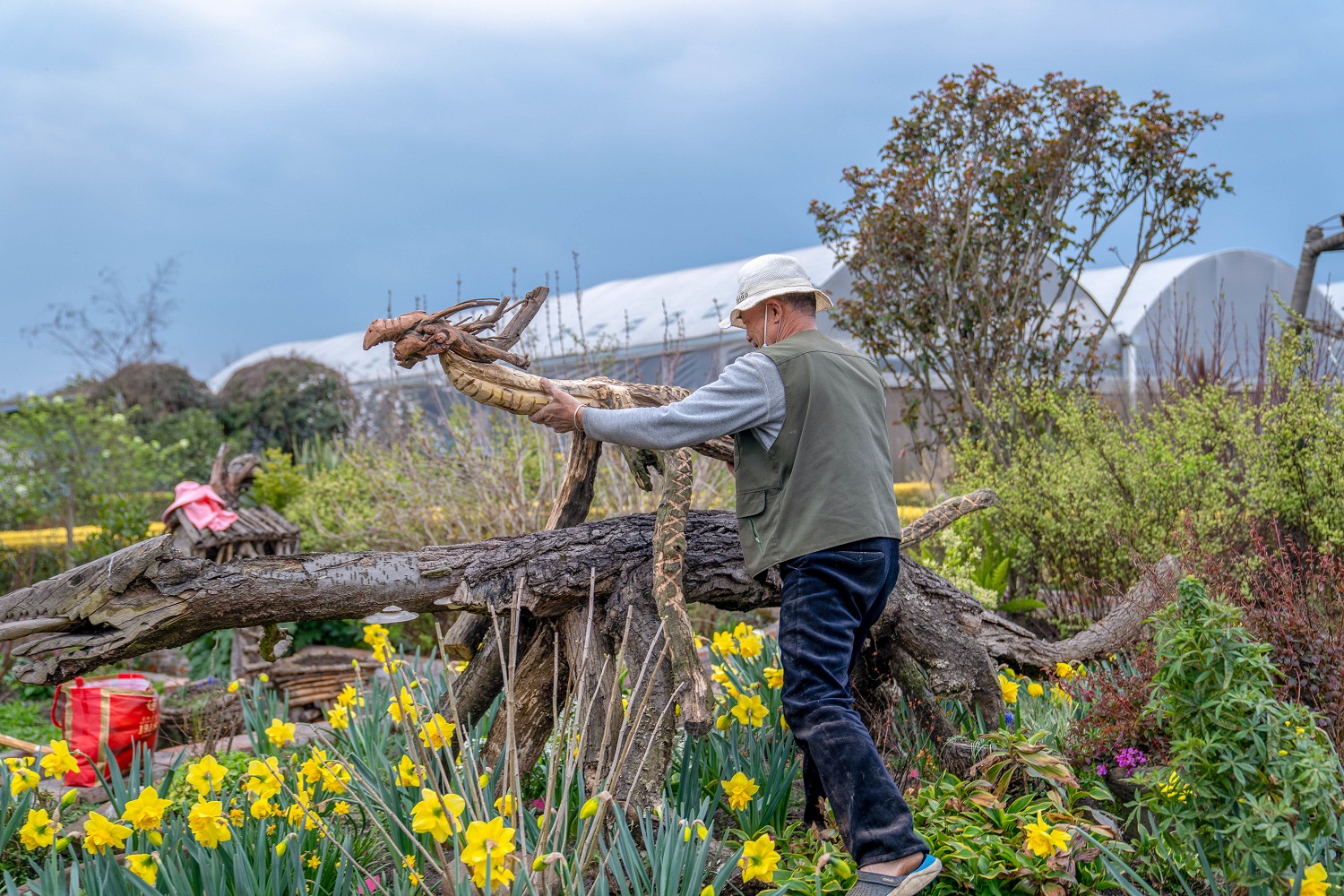 海蒂和噜噜的花园值得推荐吗,海蒂和噜噜的花园打卡