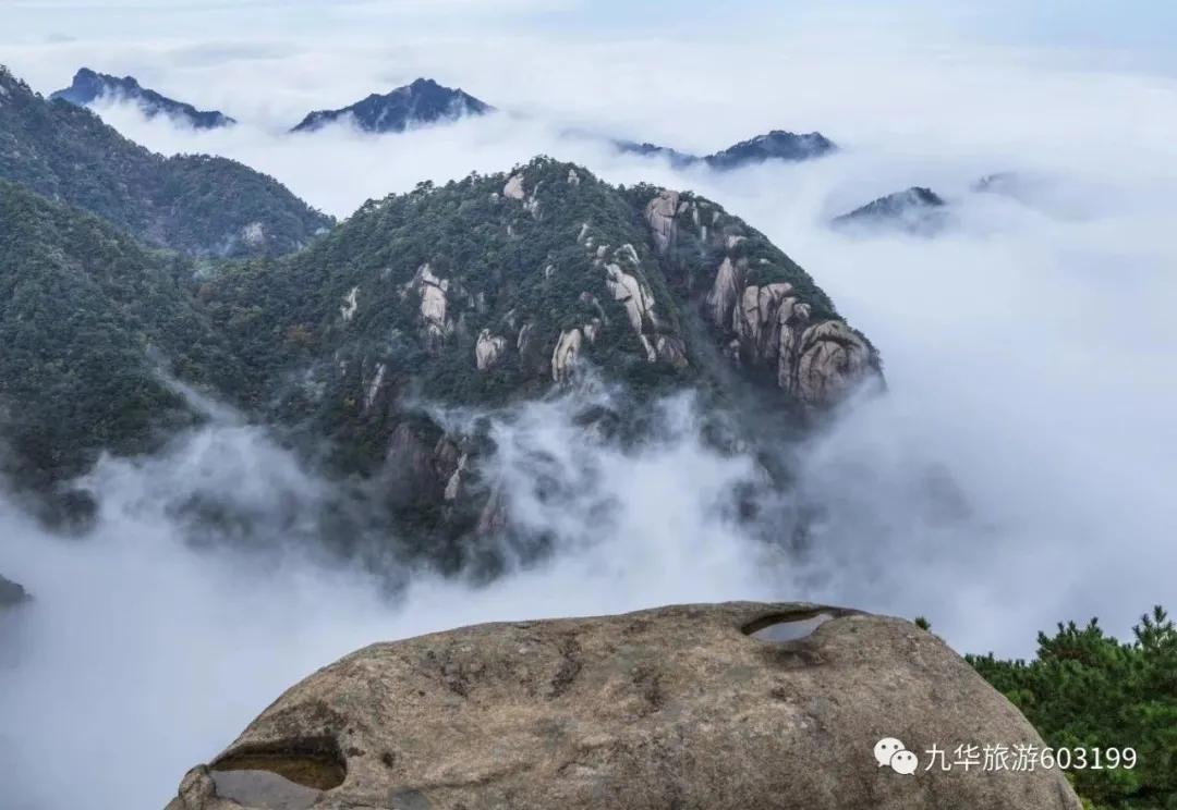 在赞美九华的人里，他们有些不一样