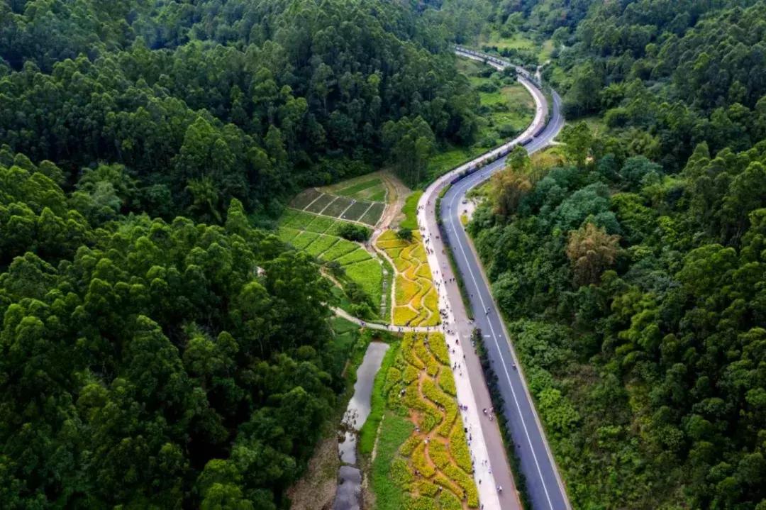 乐山市生态文明,庆祝新中国成立70周年特辑宣讲