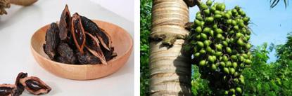 一级致癌的黑果恶魔,线上一年卖掉4个亿?