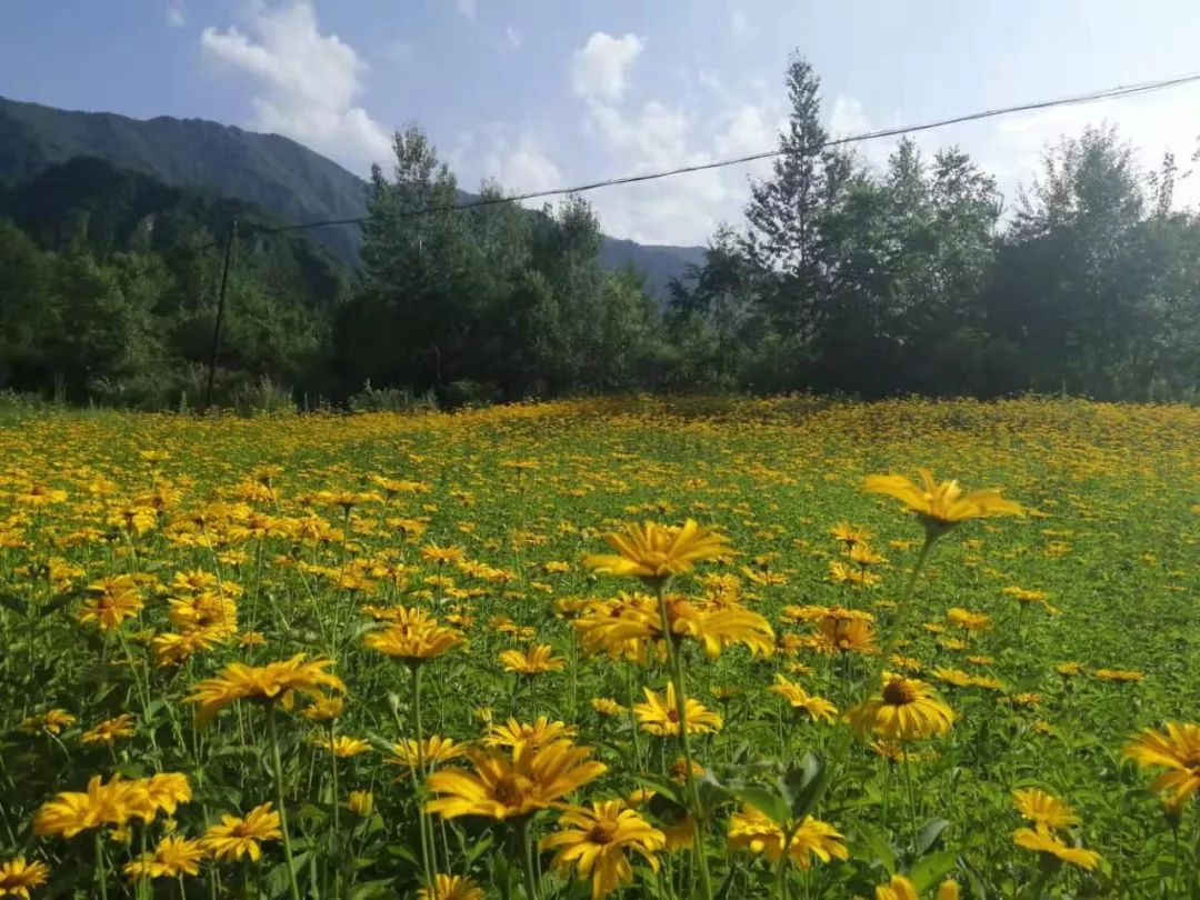丹东最大的中朝边贸城,丹东中朝边境风光