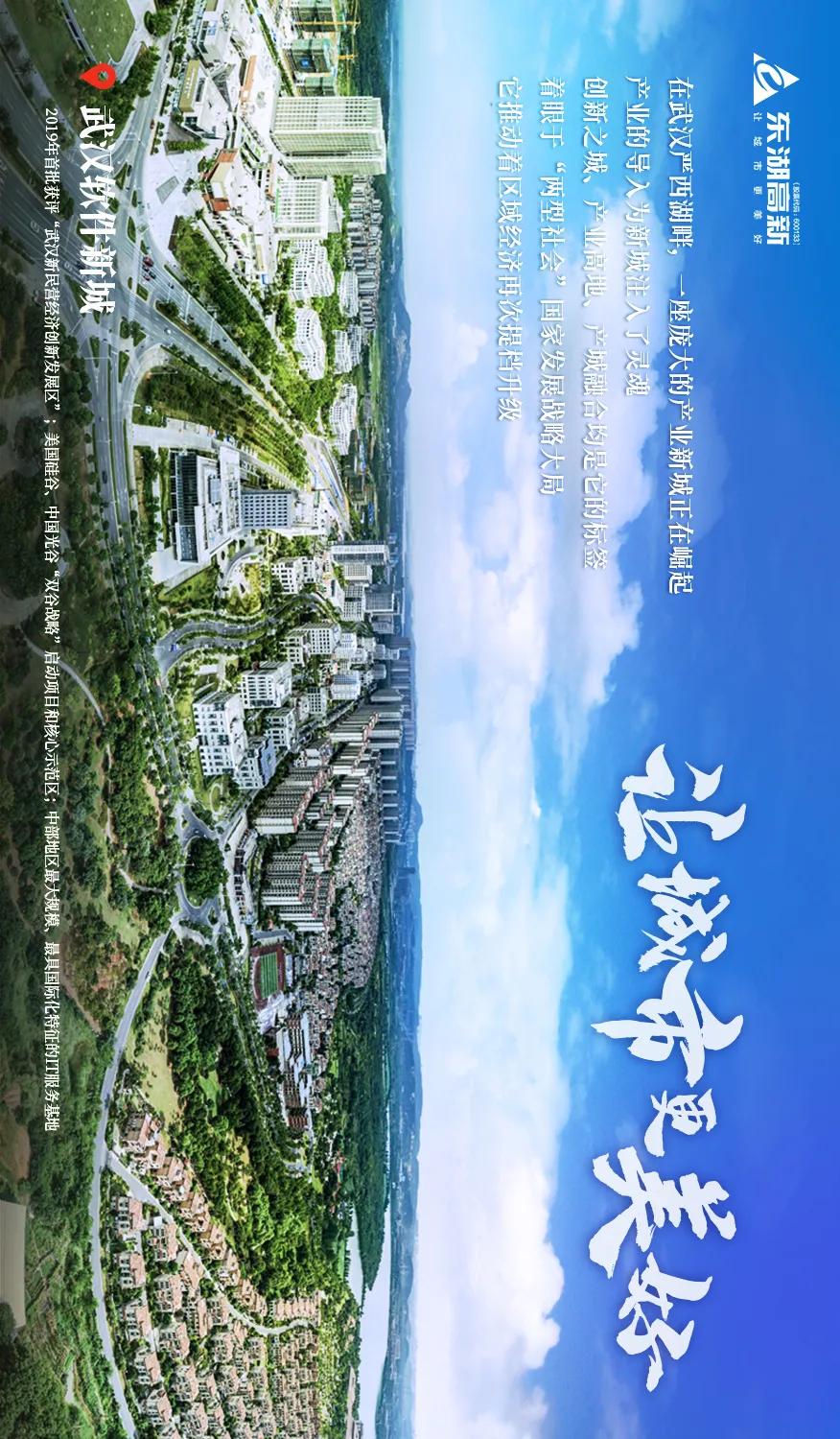 东湖高新集团的发展历程,图鉴图鉴