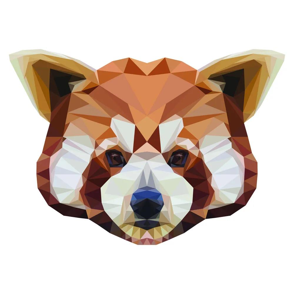 火箭浣熊是小熊猫还是小浣熊,小熊猫是浣熊科动物吗