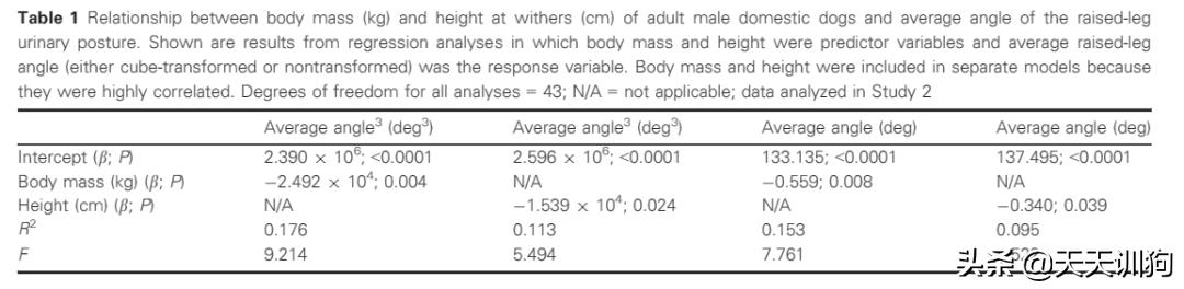 鐙楀瓙鎶吙鎾掑翱,鐙楀瓙鎾掑翱鎶吙