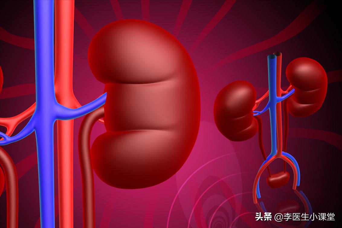 肾不好要怎么办？坚持做好这3点，有助于预防肾衰竭