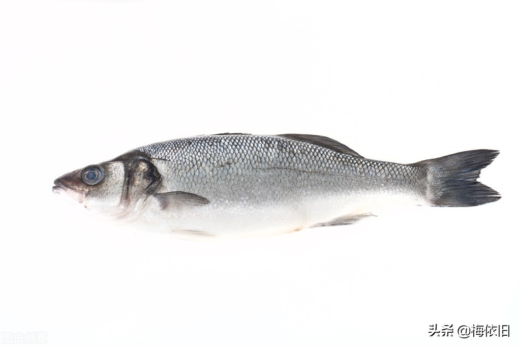 推荐6种鱼营养好肉质,鱼刺少又好看的鱼有哪些