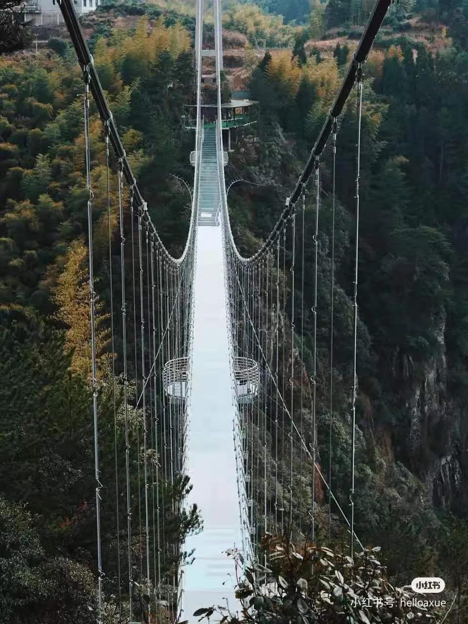 有着双重人生的小城青田，你对它的实力一无所知