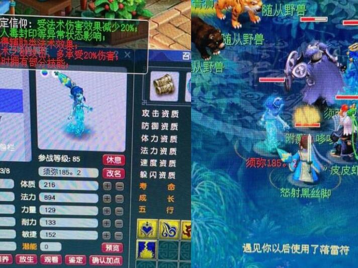 梦幻西游五开从零开始玩一年,梦幻西游新手能玩5开吗