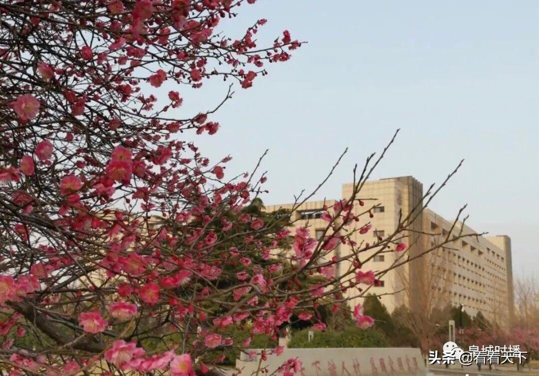 山大章丘龙山校区建设得怎样了,山大龙山校区教职工宿舍进展