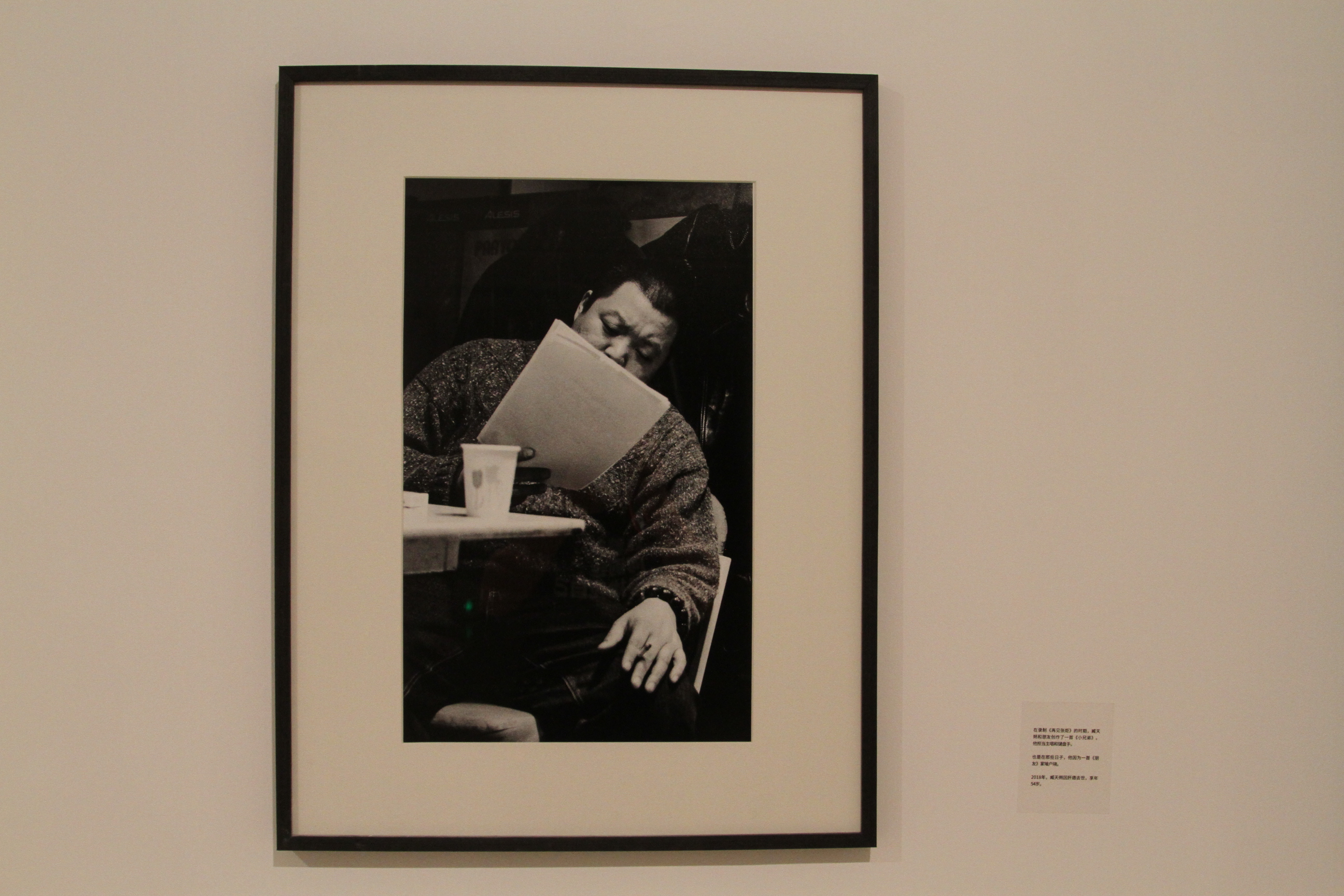 崔健、窦唯、张楚、老狼、陈辉、高旗，看看这些人年轻时的样子吧