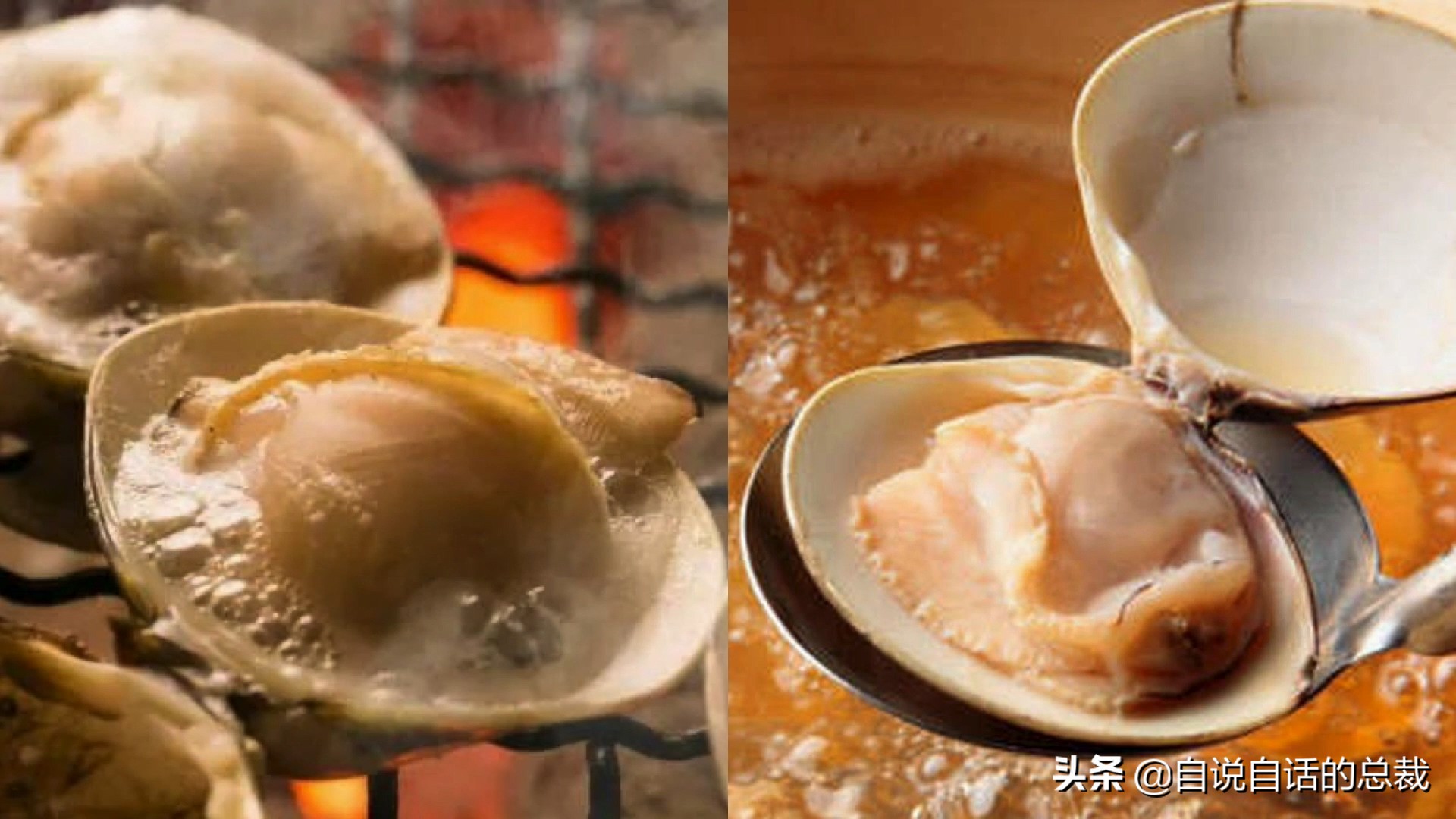 泥蚶和花甲蛤蜊有什么区别,贝螺蚌蛤蚬等怎么区分