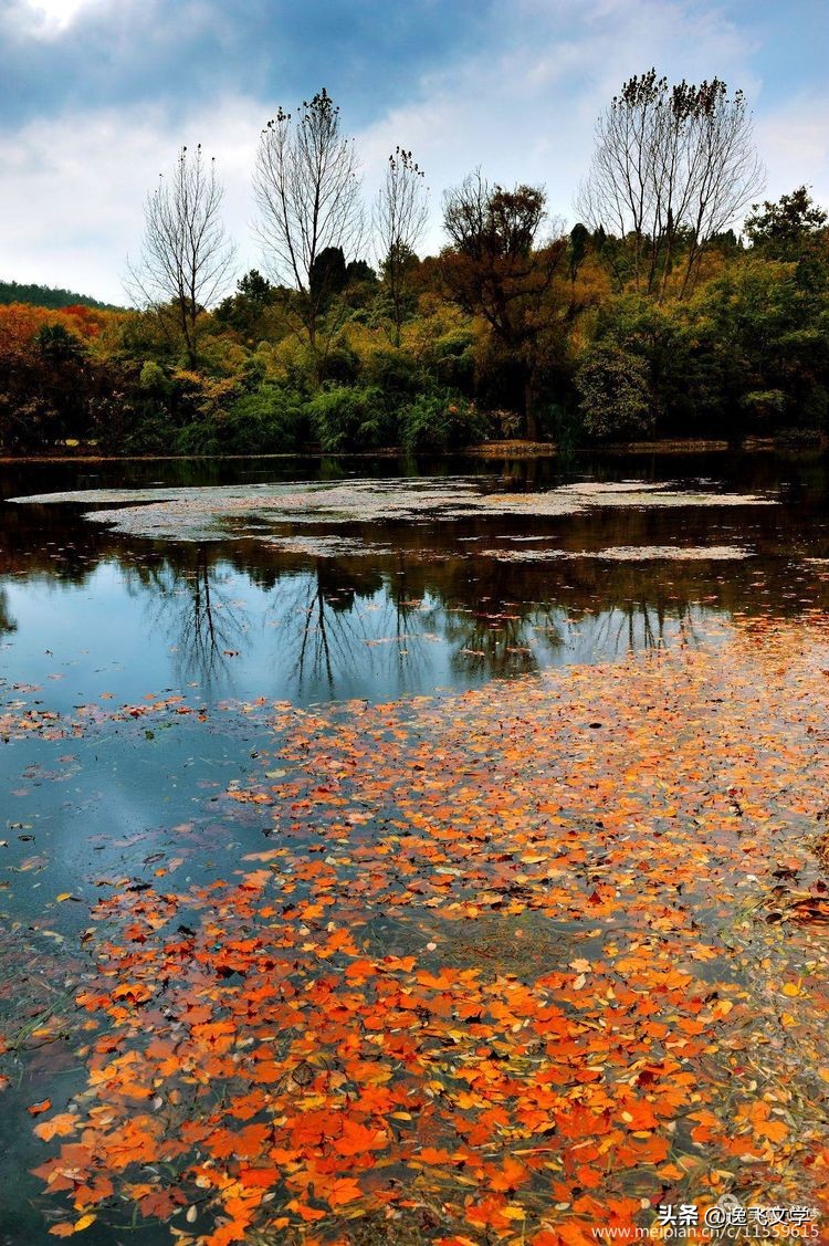 【原创.古韵新声】纤陌畔,小桥东。清溪流水逐残红