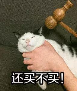 有了这件神器，你也能成为“赌神”