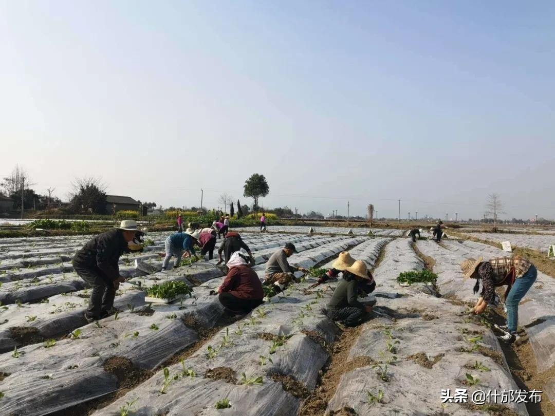 不负好春光文章,不负好春光的上一句