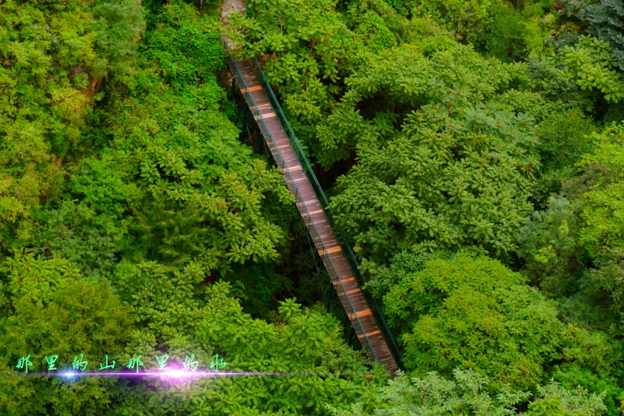 北京ufc门票,ufo玻璃栈道门票