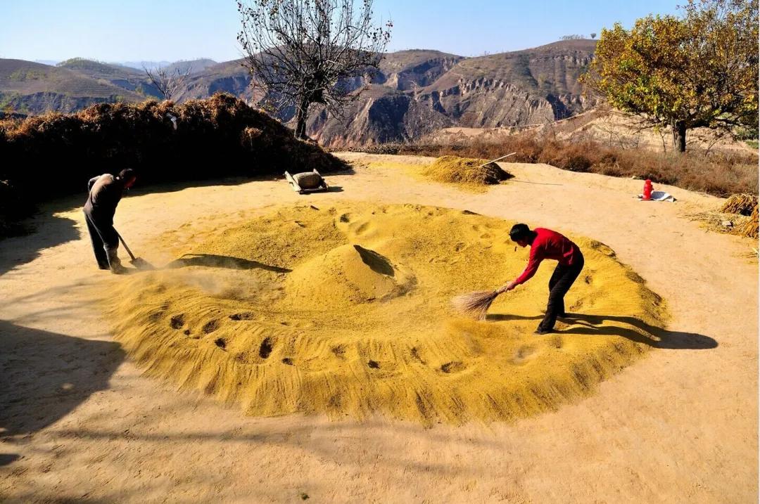 什么是窑洞,什么是双变频冰箱
