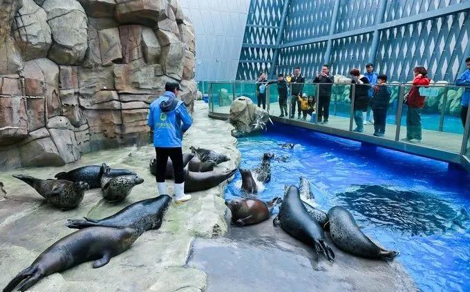 吹爆！这个文艺低调的滨海小城比芭提雅更令人向往！2天1夜刚刚好！