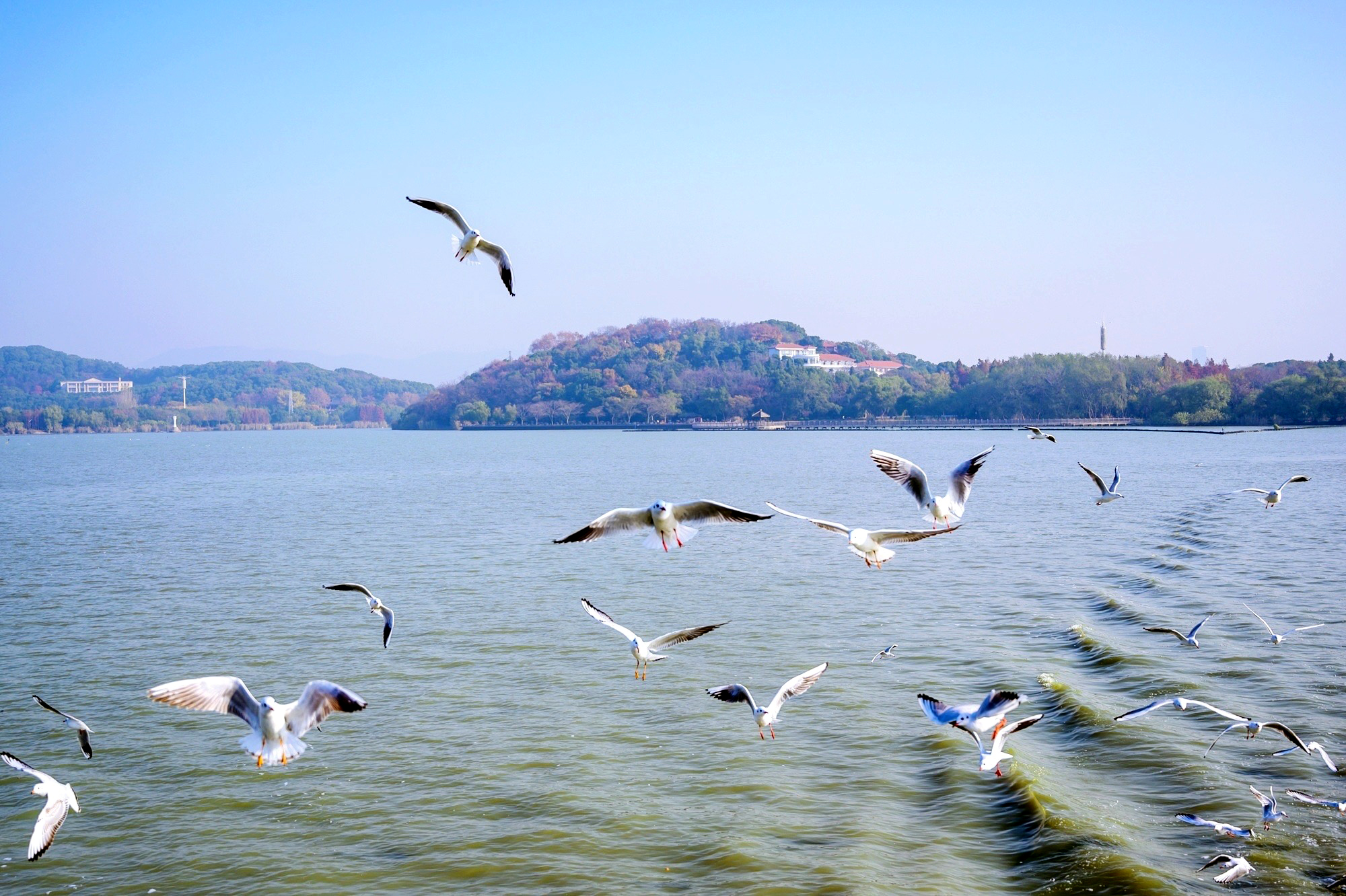 太湖标志性景点,太湖四大名景