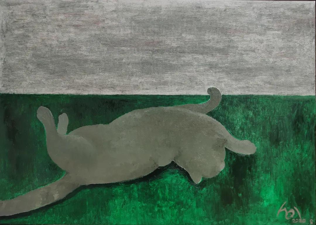 无解谜团,未解之谜合集