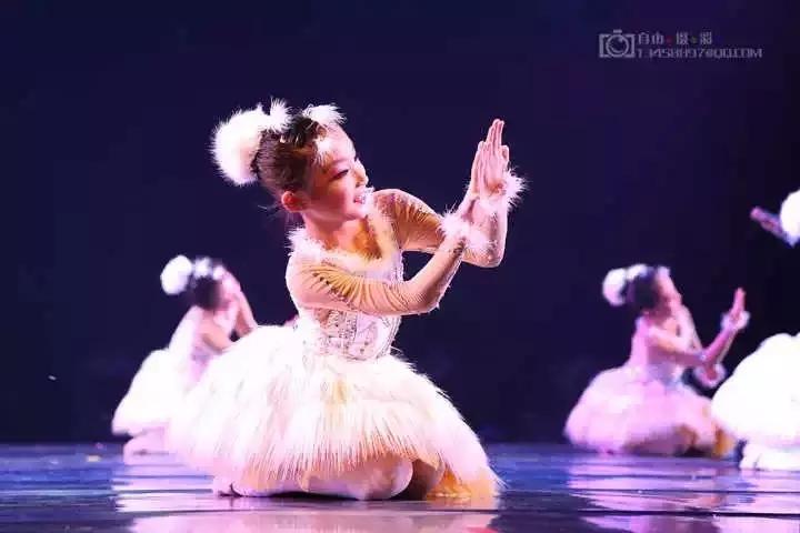 省级重点深圳荔园小学,福田区荔园小学一共多少校区