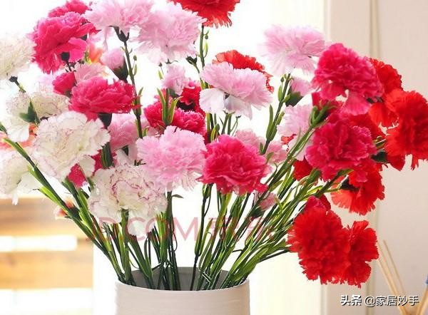 插的鲜花如何保持花期,鲜花哪种瓶插时间长又好养