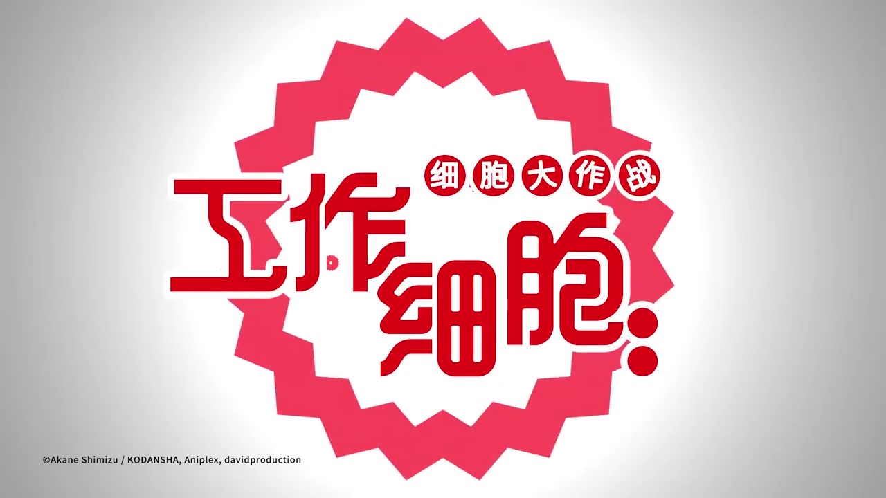 马车9什么时候上市,马车9