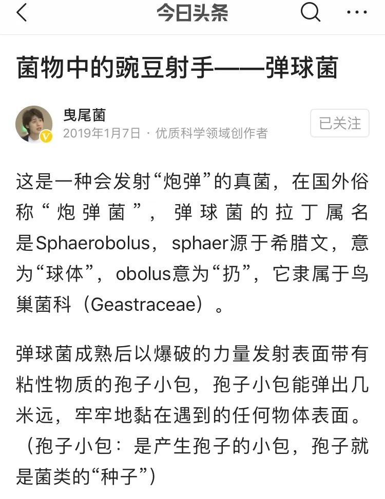 她让20万人爱上一种菌：像西米露，又似咸蛋黄，网友直呼太神奇