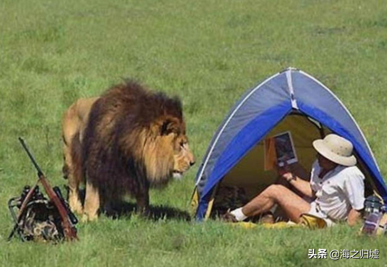 神级抓拍图片,25张令人惊叹的“神”级抓拍