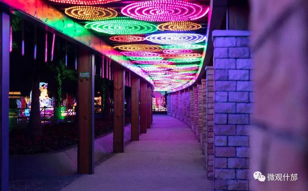 几十块钱玩一天,几十块钱玩一天天津