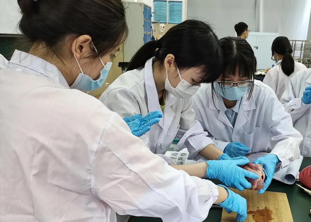 广州最广大学：占地1880余亩，依山傍水，校内坐拥天文台、法庭、演播厅！