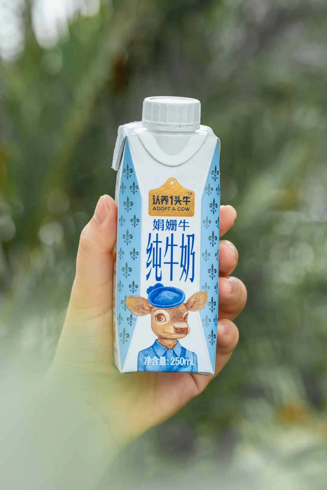 千万网红推荐的牛奶真的好喝吗,网红最好喝的纯牛奶