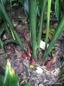 创业项目小项目,创业实用小项目