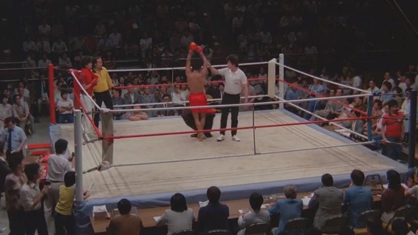 姑娘偷渡到香港电影,姑娘被偷渡到香港