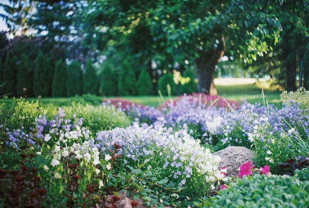 心中有花开人生春常在原文,心里有花开人生春常在