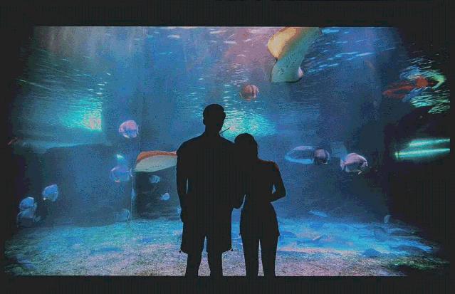 泉城欧乐堡特惠专场,泉城欧乐堡vip票