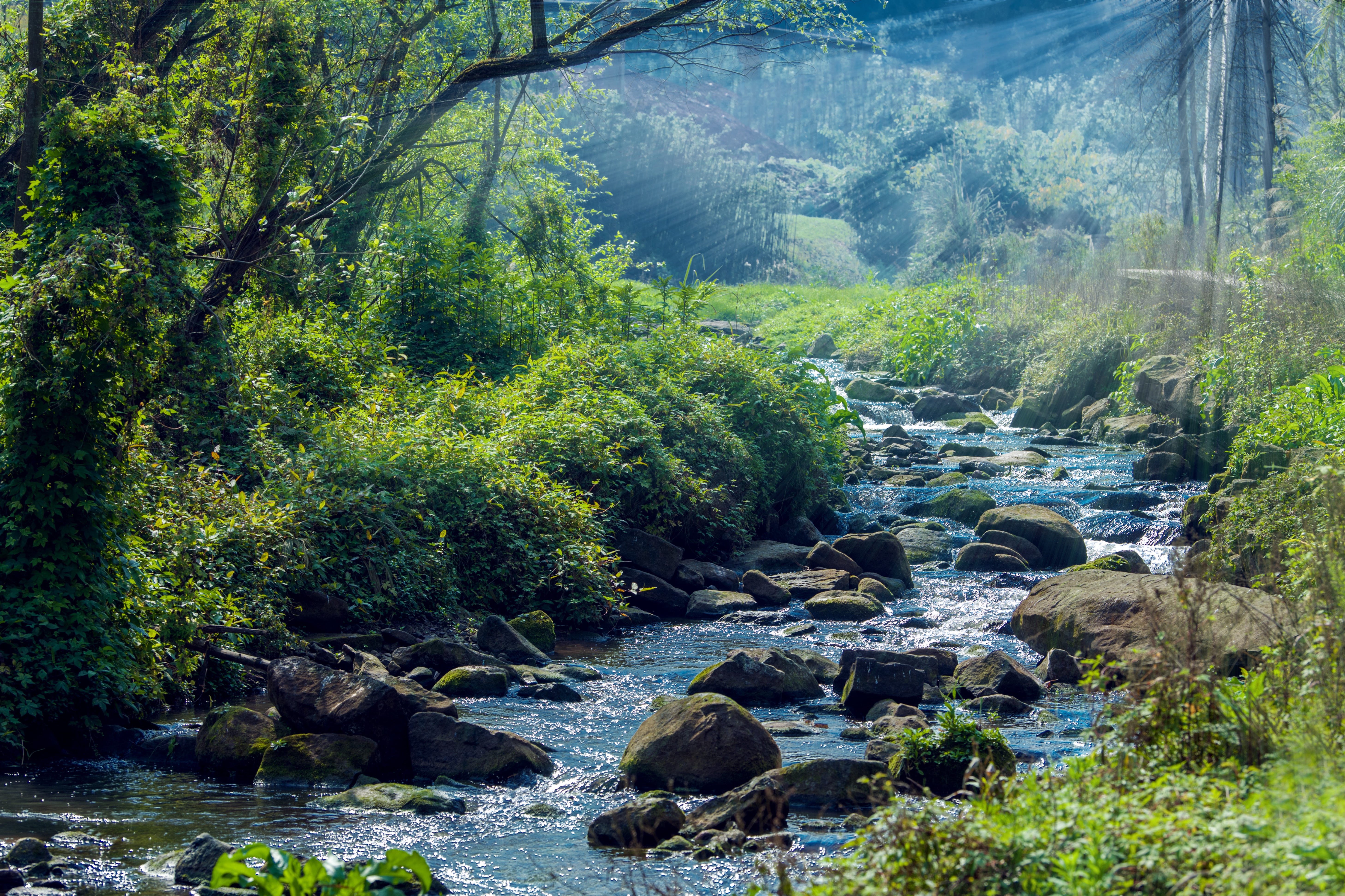 重庆悦来分为哪三个板块,重庆悦来板块的优缺点