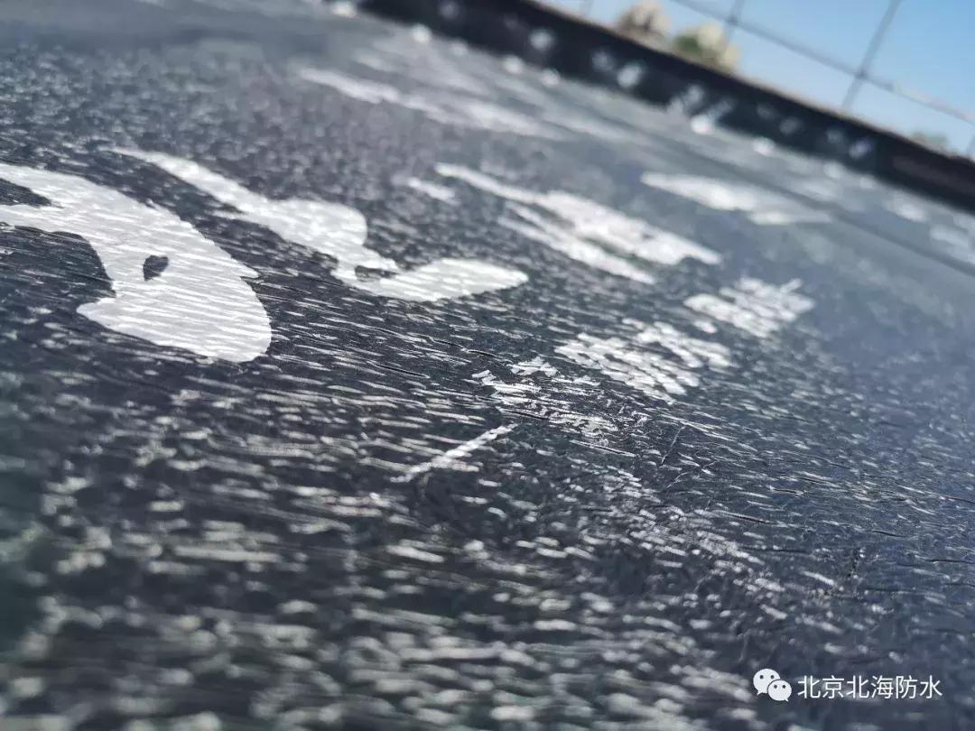 sbs防水卷材跟app防水卷材哪个贵,sbs防水卷材与app防水卷材