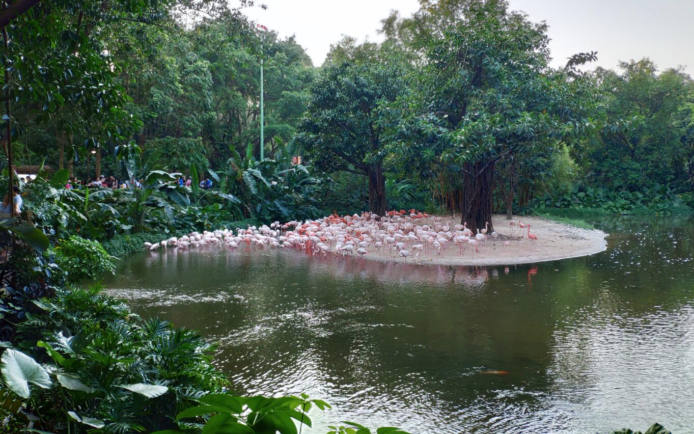 打卡6省最大的野生动物园,打卡各地野生动物园